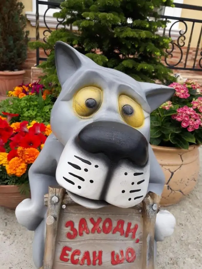 Сочи: Гостевой дом  Солнечный