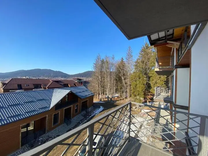 Бакуриани: Luxury Apartment in Bakuriani!