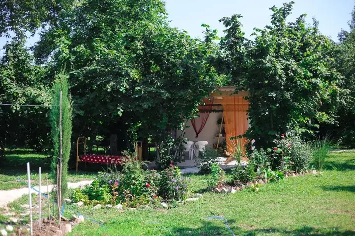 Мартвили: Novel House