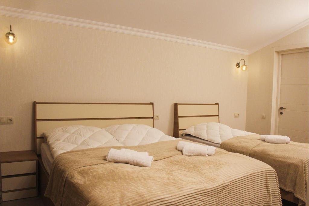Бакуриани: Mountain Villa Didveli