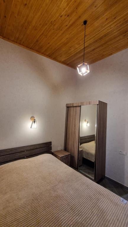Бакуриани: Twins Cottage Bakuriani
