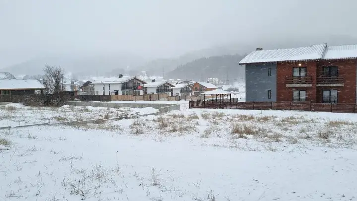 Бакуриани: Twins Cottage Bakuriani