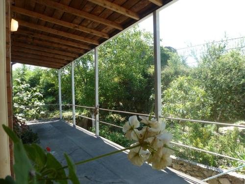 Кутаиси: Melu's Guest House