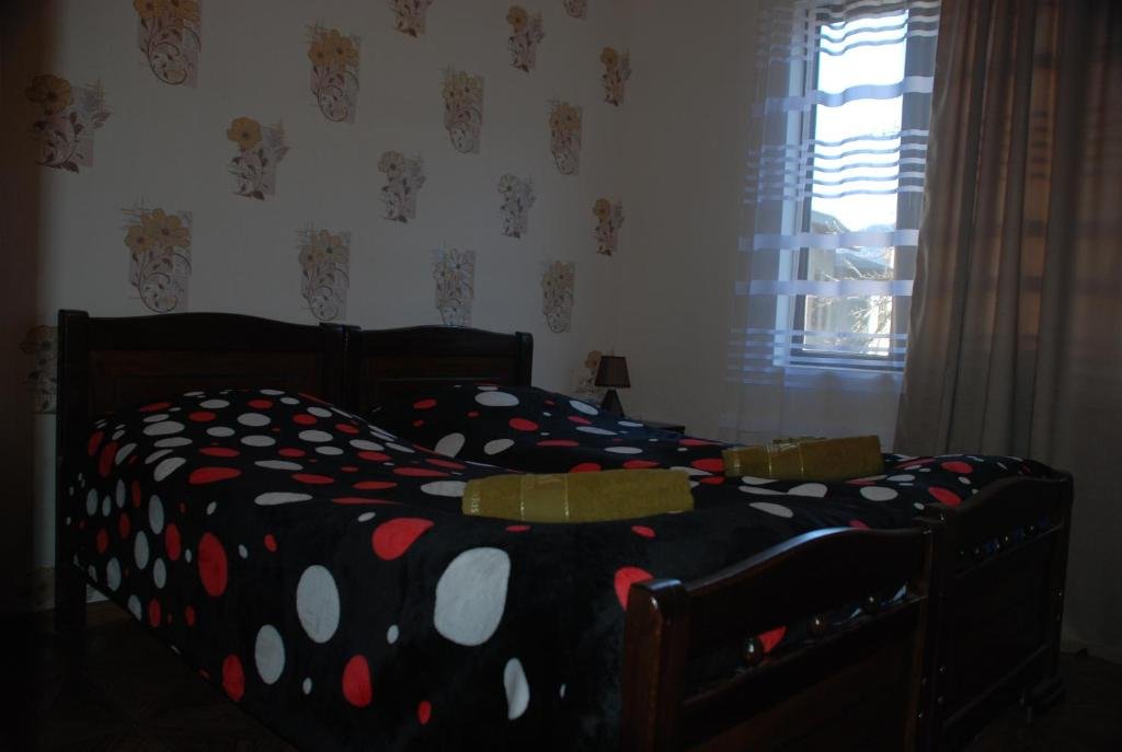 Местиа: New Seti Guest House