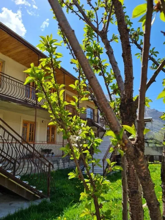Степанцминда: Sunny Mountain House