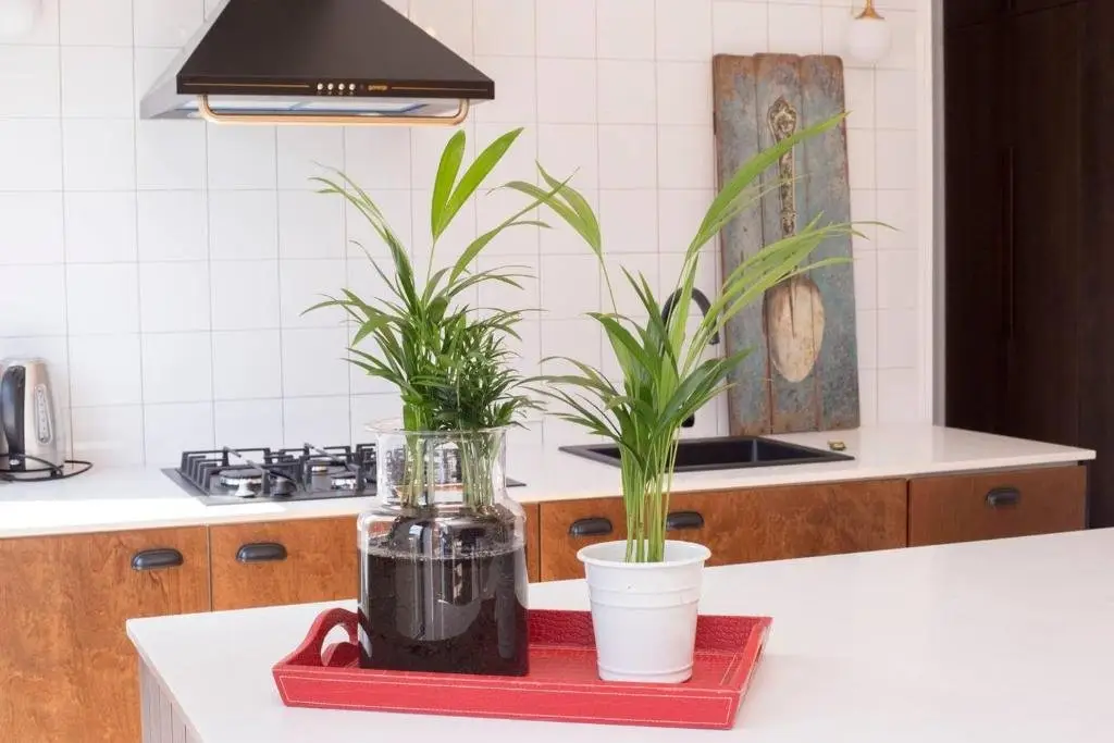 Тбилиси: Wehost Apartment Left Bank