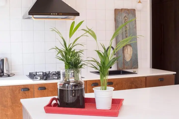 Тбилиси: Wehost Apartment Left Bank