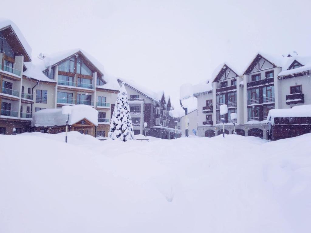 Гудаури: Roomy Deluxe New Gudauri