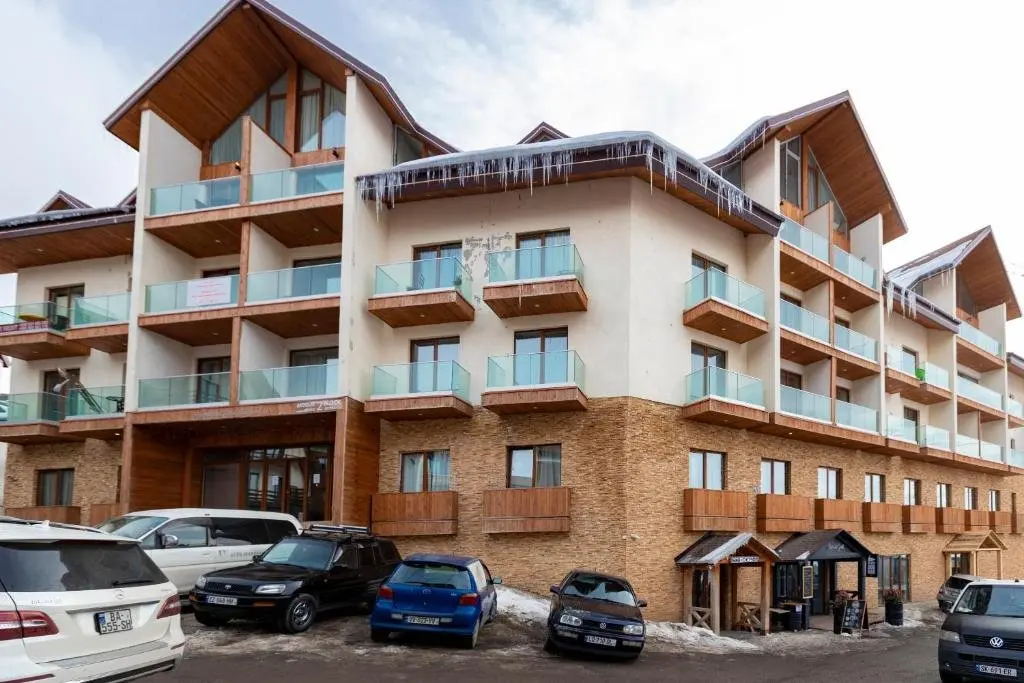 Гудаури: Spacious and Stylish Apartment. In New Gudauri