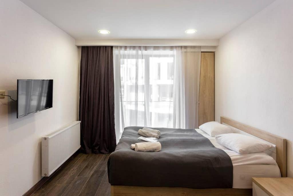 Гудаури: Spacious and Stylish Apartment. In New Gudauri