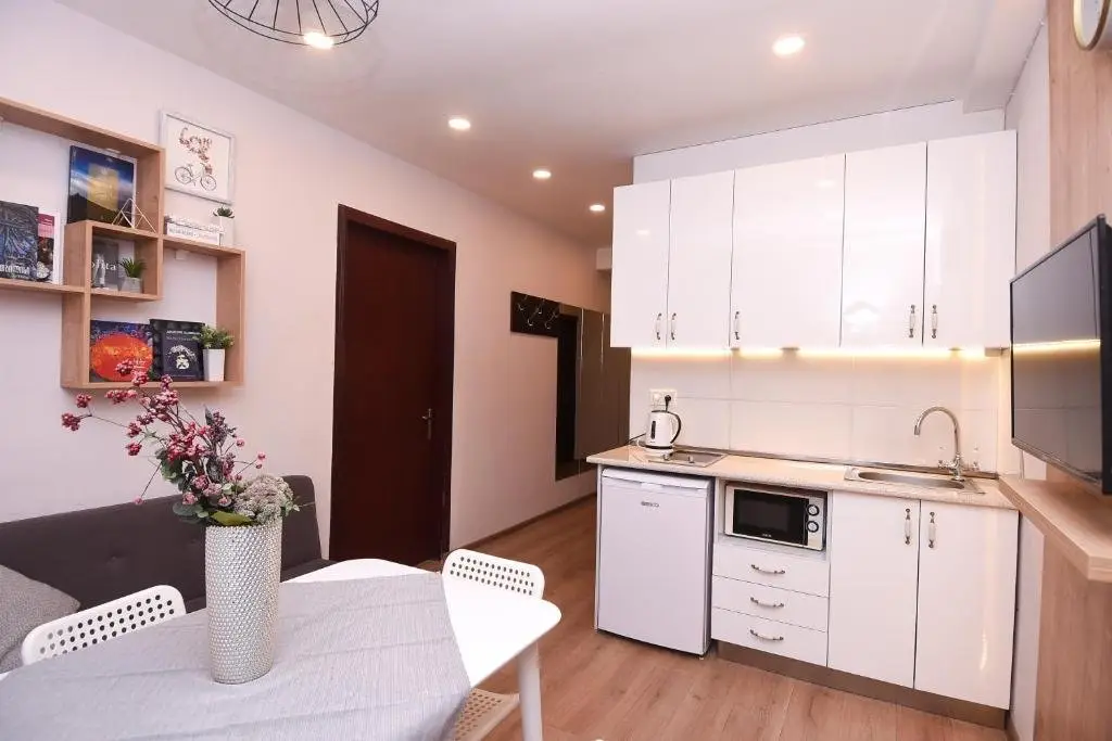 Гудаури: Tski Apartment