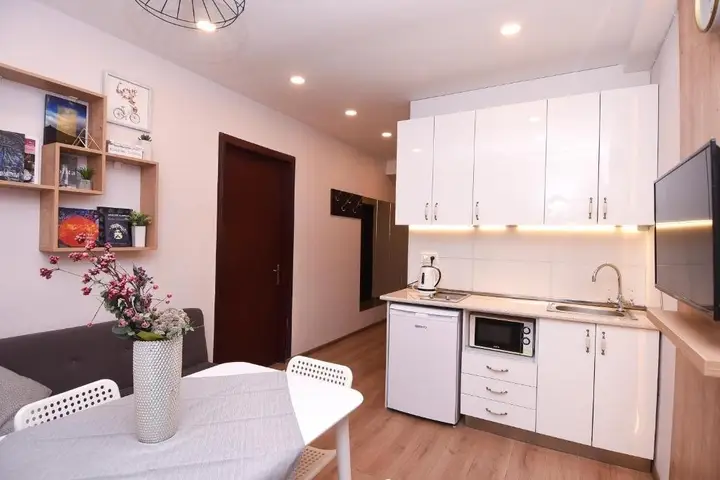 Гудаури: Tski Apartment