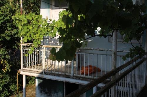 Мартвили: Stay Guesthouse