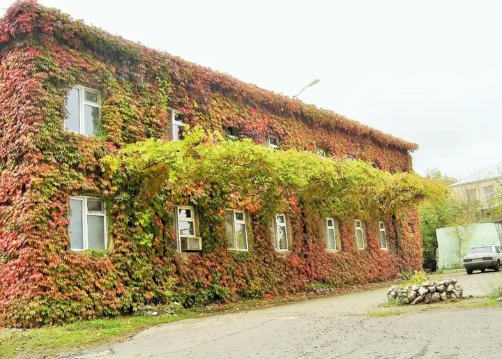 Тбилиси: Pink Apartment near Airport