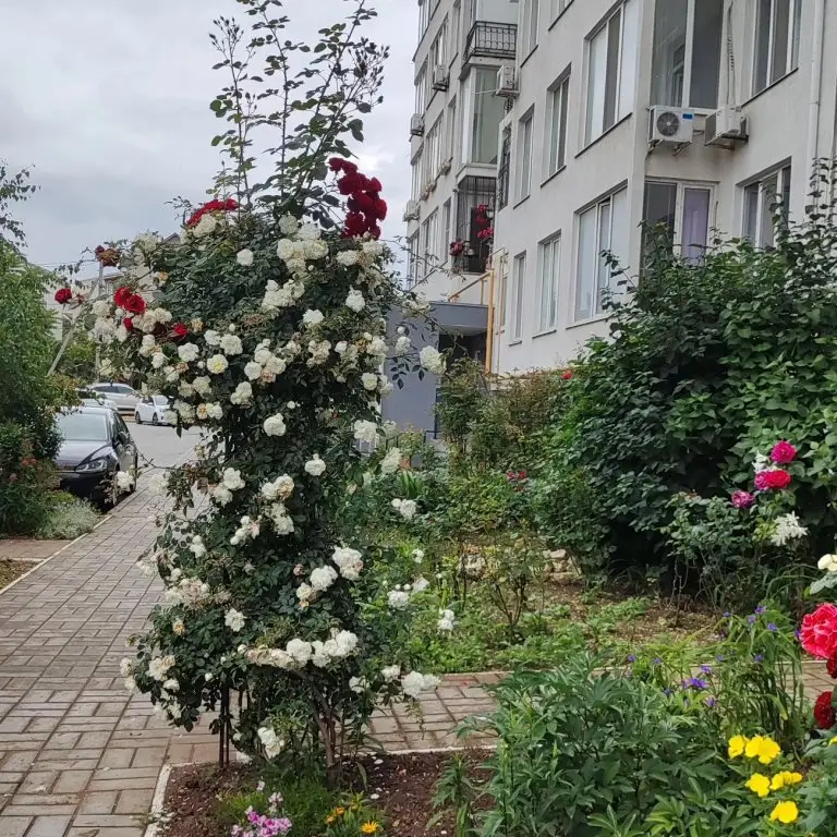 Апартаменты Пожарова 20 — фото 1