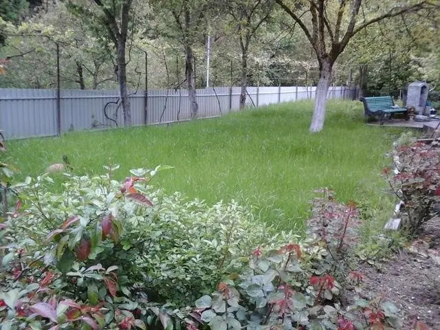 Ликани: Iraklis Homestay