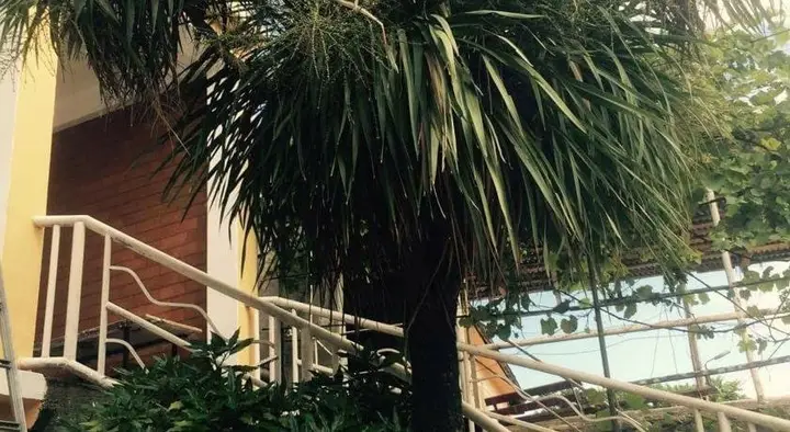 Кобулети: Guest House Welcome to Kobuleti