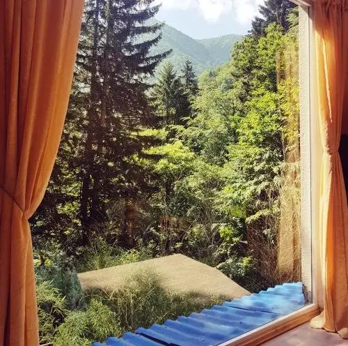 Боржоми: Nunisi Forest Hotel & SPA