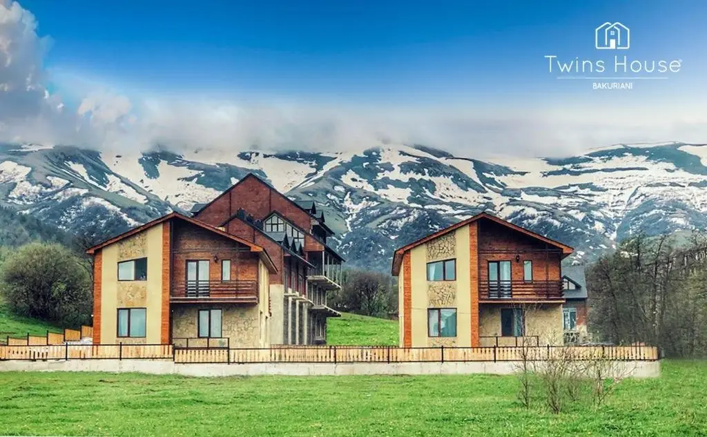 Бакуриани: Twins House Bakuriani