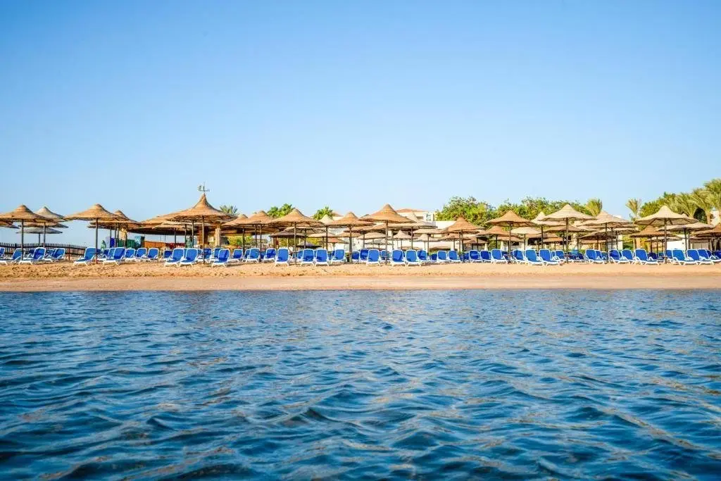 Шарм-эш-Шейх (Шарм-эль-Шейх): Курортный отель Ivy Cyrene Island Resort
