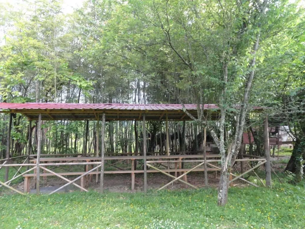 Мартвили: Guesthouse Luka