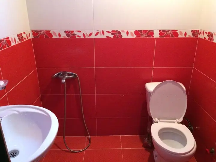 Местиа: House Mon Amie