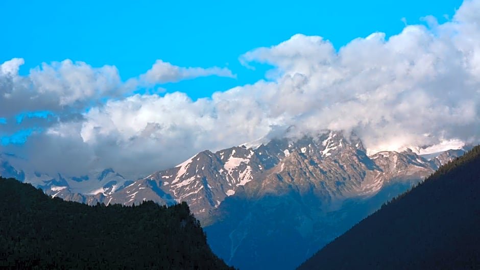 Местиа: Latour Mestia