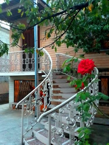 Кутаиси: Hostel miko