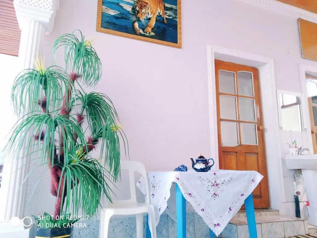 Бухара: Ali-Nur Guesthouse