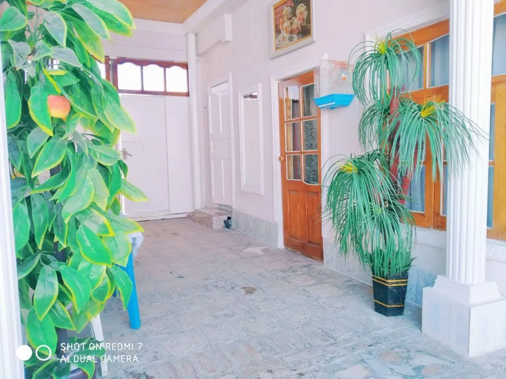 Бухара: Ali-Nur Guesthouse