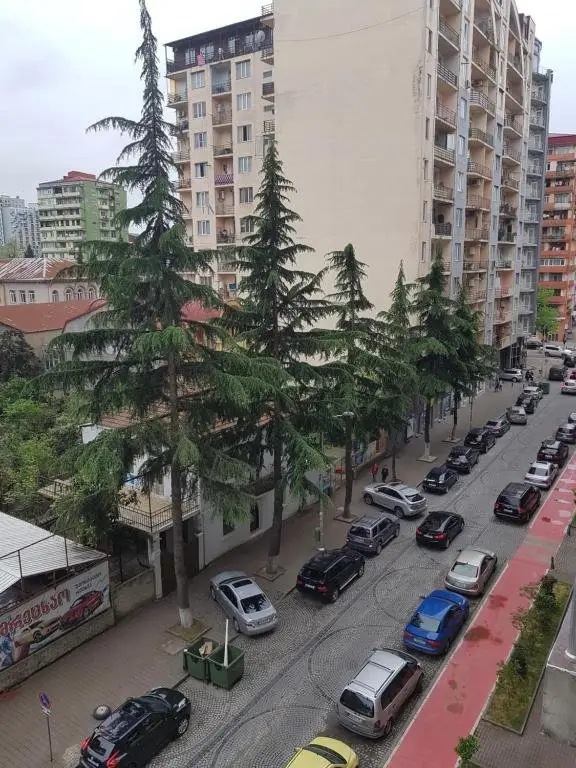 Батуми: 136 Vakhtang Gorgasali Street