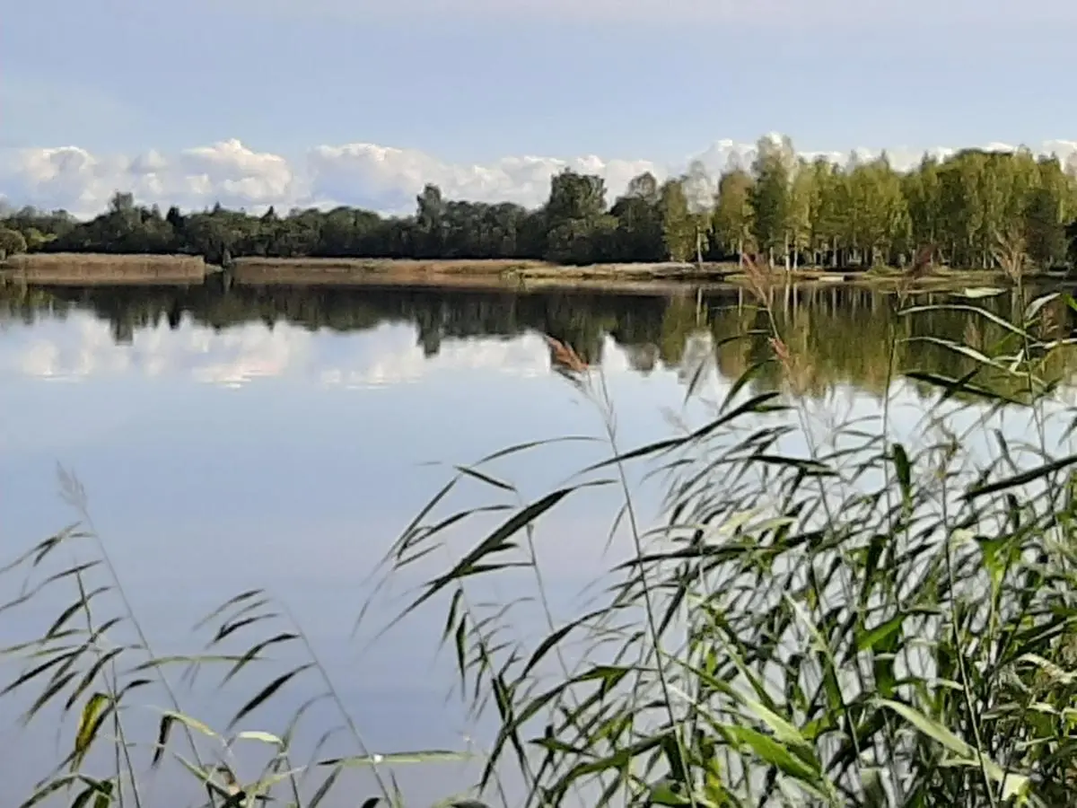 Ferapontovo: Дом с баней на берегу озера