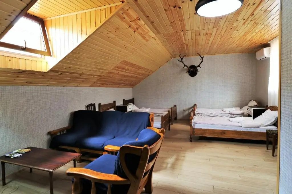 Тбилиси: Hostel Owl