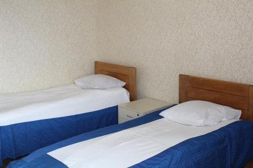 Телави: Hotel Lizi