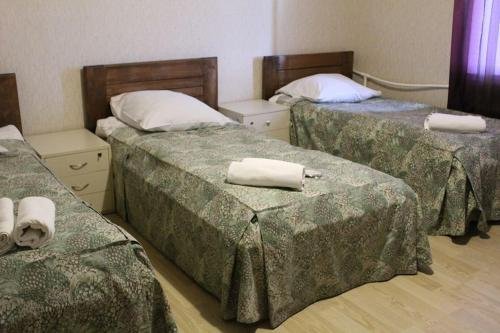Телави: Hotel Lizi