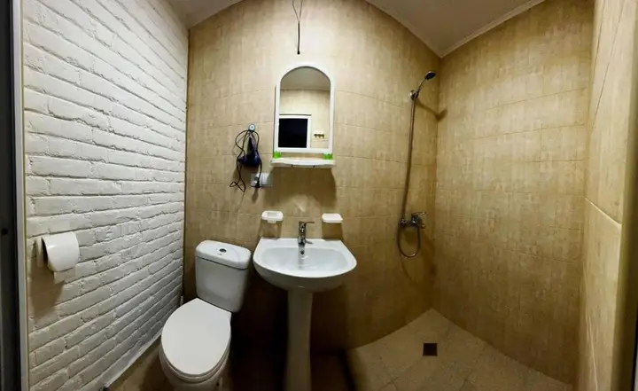 Тбилиси: Hostel Pirosmani