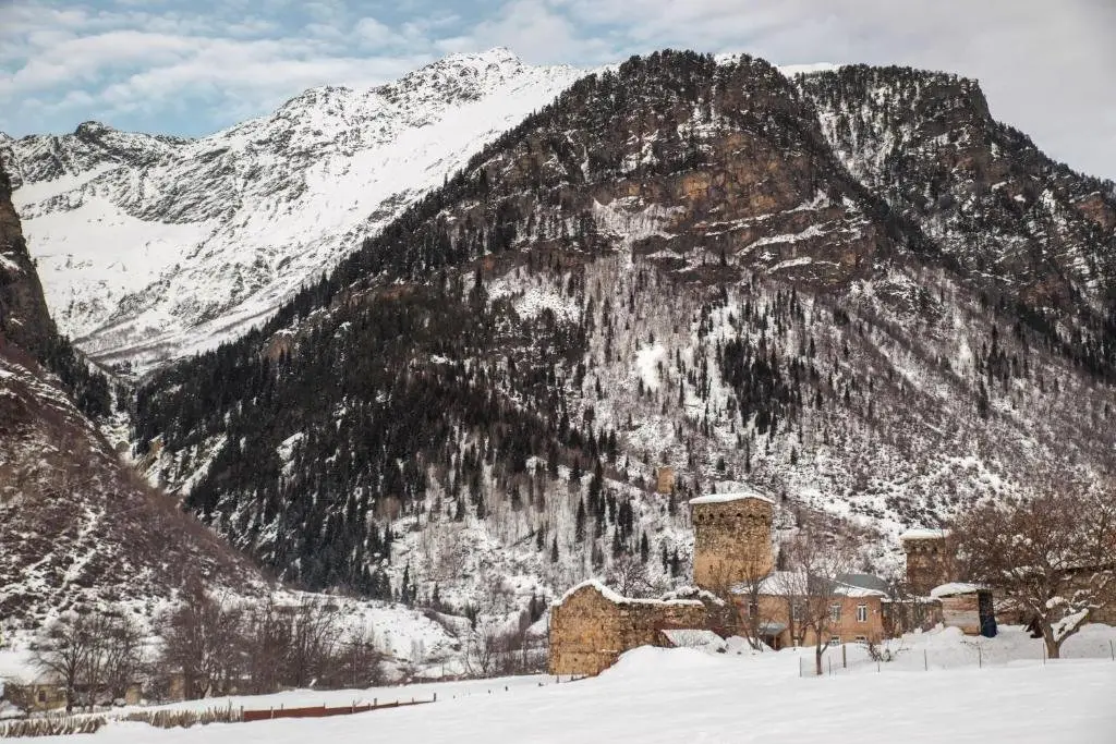 Местиа: Guesthouse Tanano/Dodo