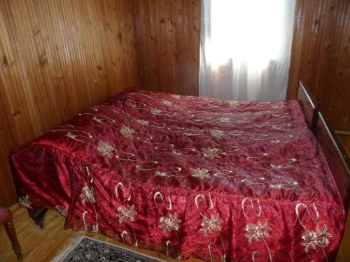 Анаклия: IkaMari xouse Ganmuxuri
