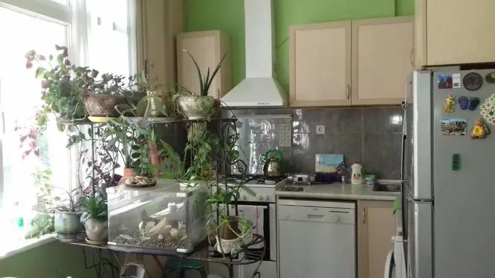 Тбилиси: Bhm Rooms Hostel