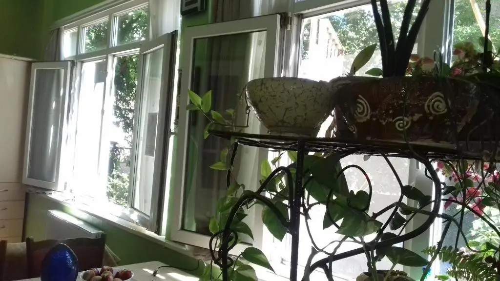 Тбилиси: Bhm Rooms Hostel