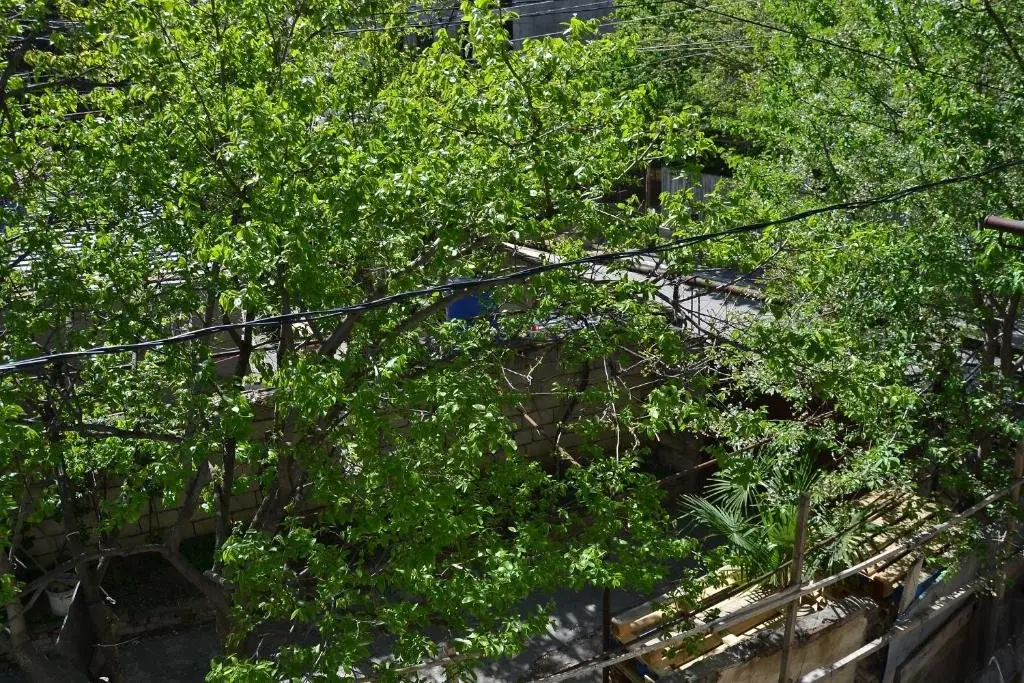 Тбилиси: Apartament Elene