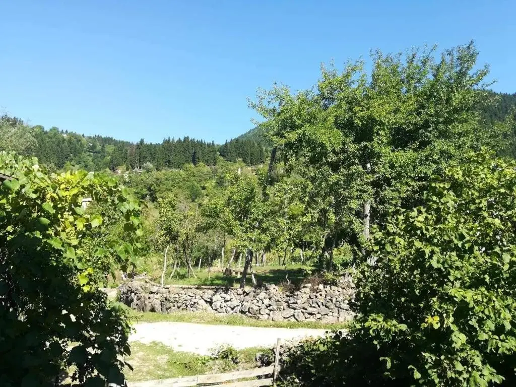 Деканашвилеби: Txilaziri Guest House