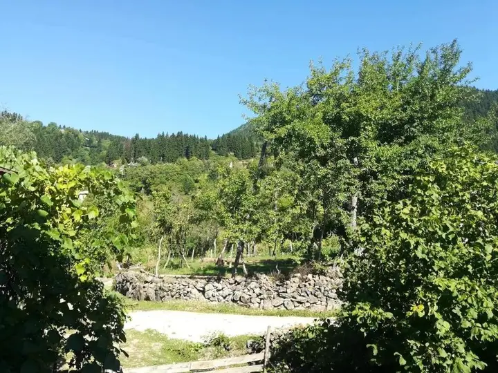 Деканашвилеби: Txilaziri Guest House