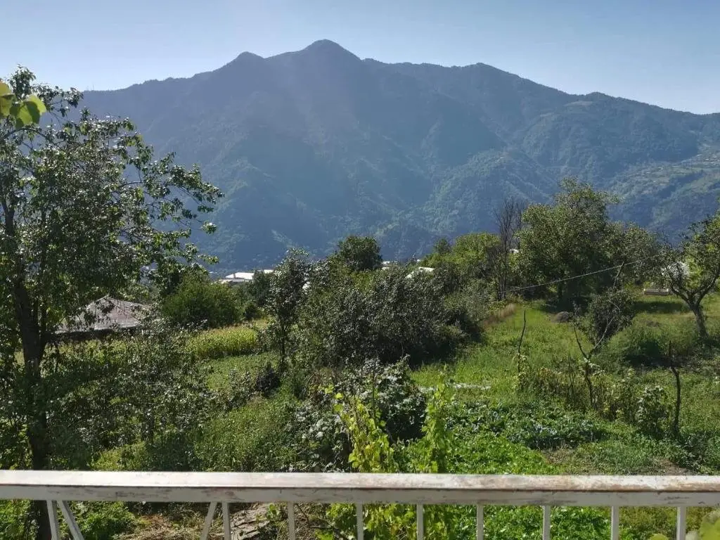 Деканашвилеби: Txilaziri Guest House