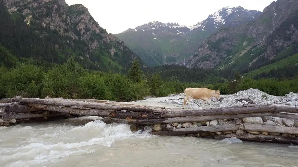 Местиа: Guesthouse Dolra Svaneti