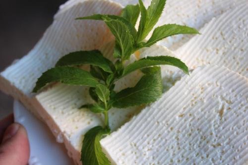 Кутаиси: Guest House Green Okriba
