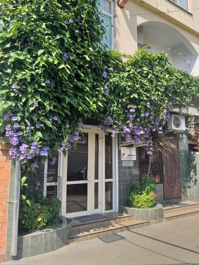 Красная Поляна: Guest House SanLara