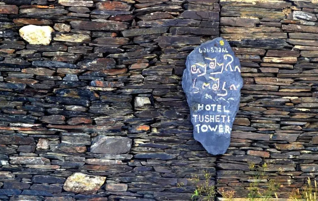 Омало: Guesthouse Tushetian Tower