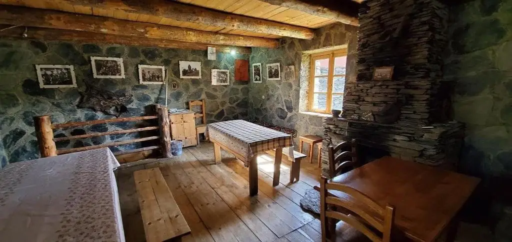 Омало: Guesthouse Tushetian Tower