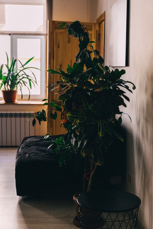 Санкт-Петербург: Квартира K7 Apartment на Большой Конюшенной